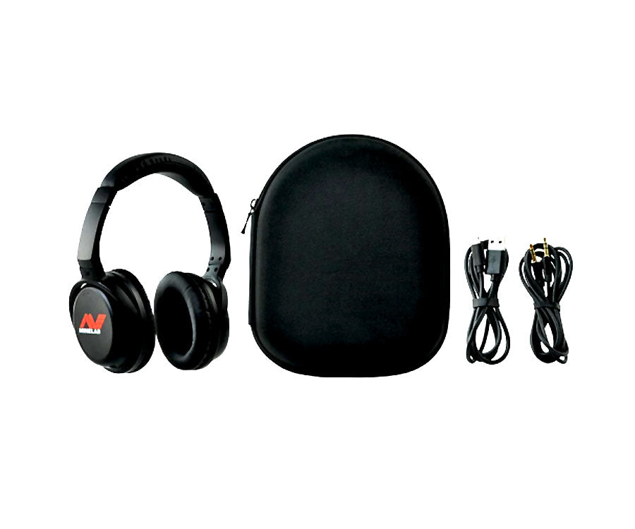 Minelab |  Equinox 800 Metal Detector | LMS Metal Detecting