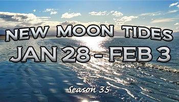 Myrtle Beach New Moon Tides 2025