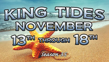 November King Tides Myrtle Beach