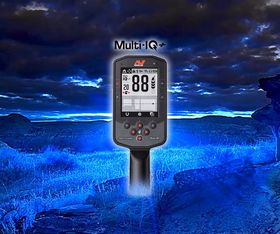 Minelab Equinox 700 | LMS Metal Detecting